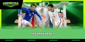 kèo draw no bet