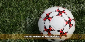 soi kèo Tunisia vs Hà Lan WC 2026