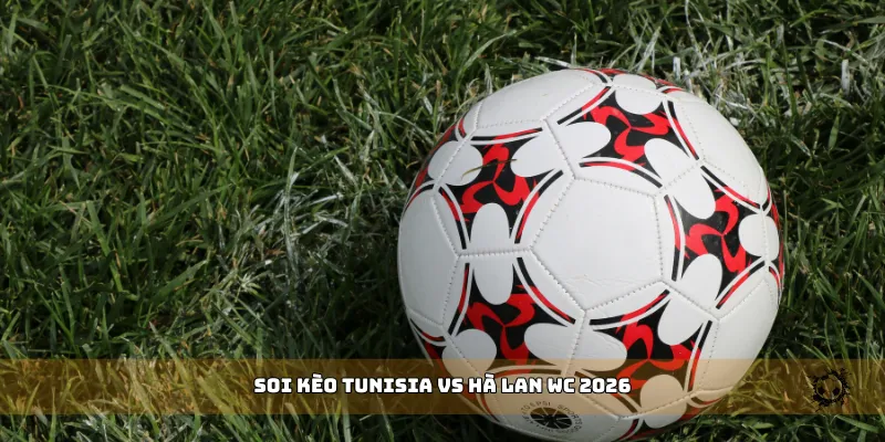 soi kèo Tunisia vs Hà Lan WC 2026